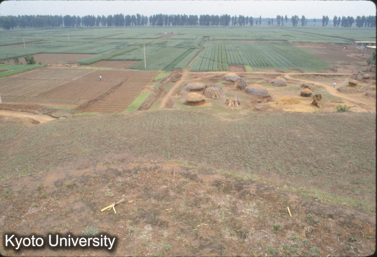 1881_武陽台の北側を見下ろす 道路の線が隔土墻のライン (1)