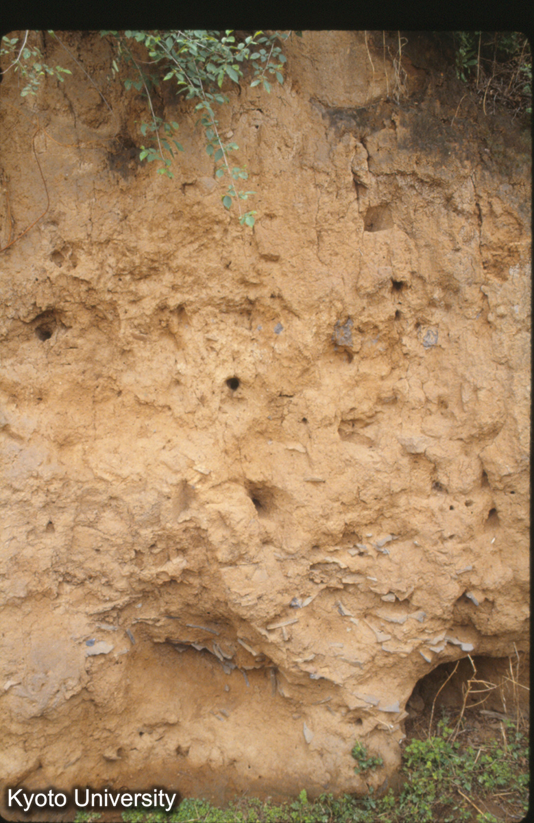 1883_燕下都 武陽台 残欠夯土（不清） (1)