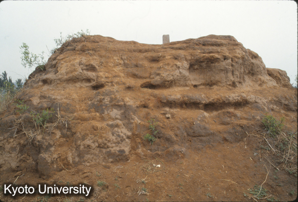 1888_老姆台 当初は3層か？ 城外にあり街道に接する (1)