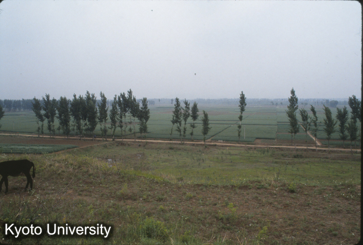 1889_燕下都 老姆台より北に12号遺址を望む (1)