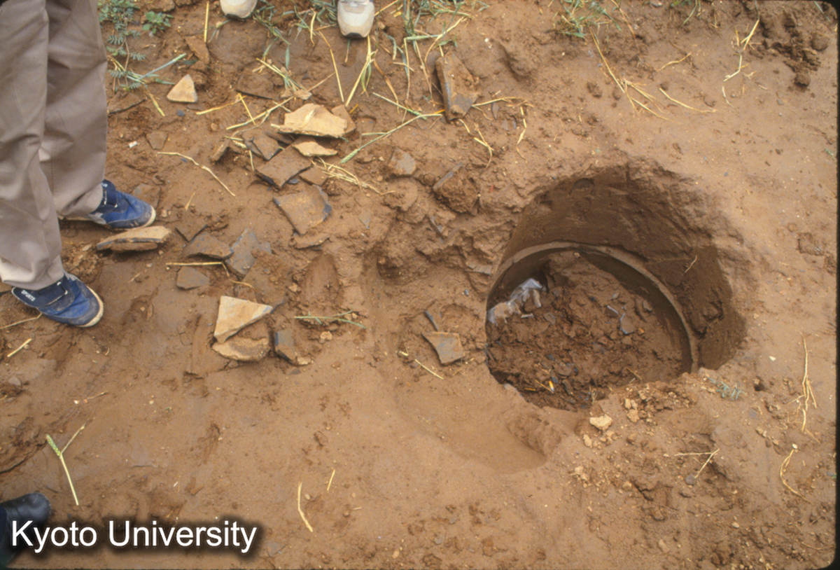 1891_老姆台東側（道路西傍）の井戸（戦国時代）内中72‐73cm (1)