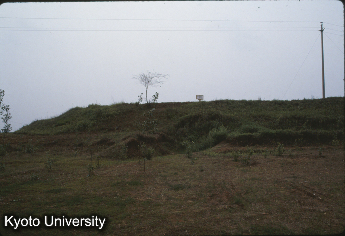 1893_燕下都 東城北城墻（西端屈曲部分） (1)