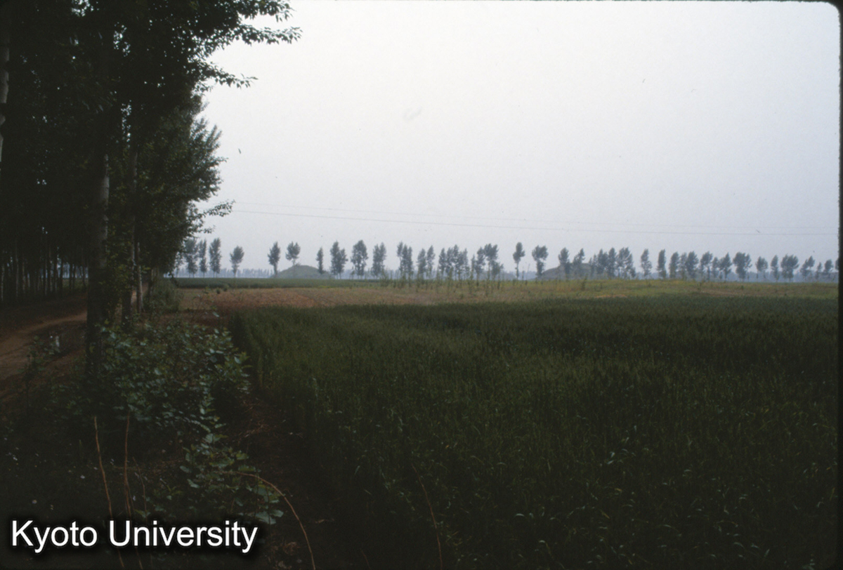 1894_燕下都 虚粮家墓葬区 東西1500m×500m南北 共13ケ墓、其中2ケ大墓 (1)