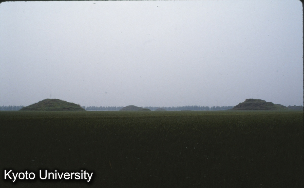 1895_東北より西南をのぞむ 7-6-5号 4-3-2-1号墓 燕下都虚粮家墓区 (1)