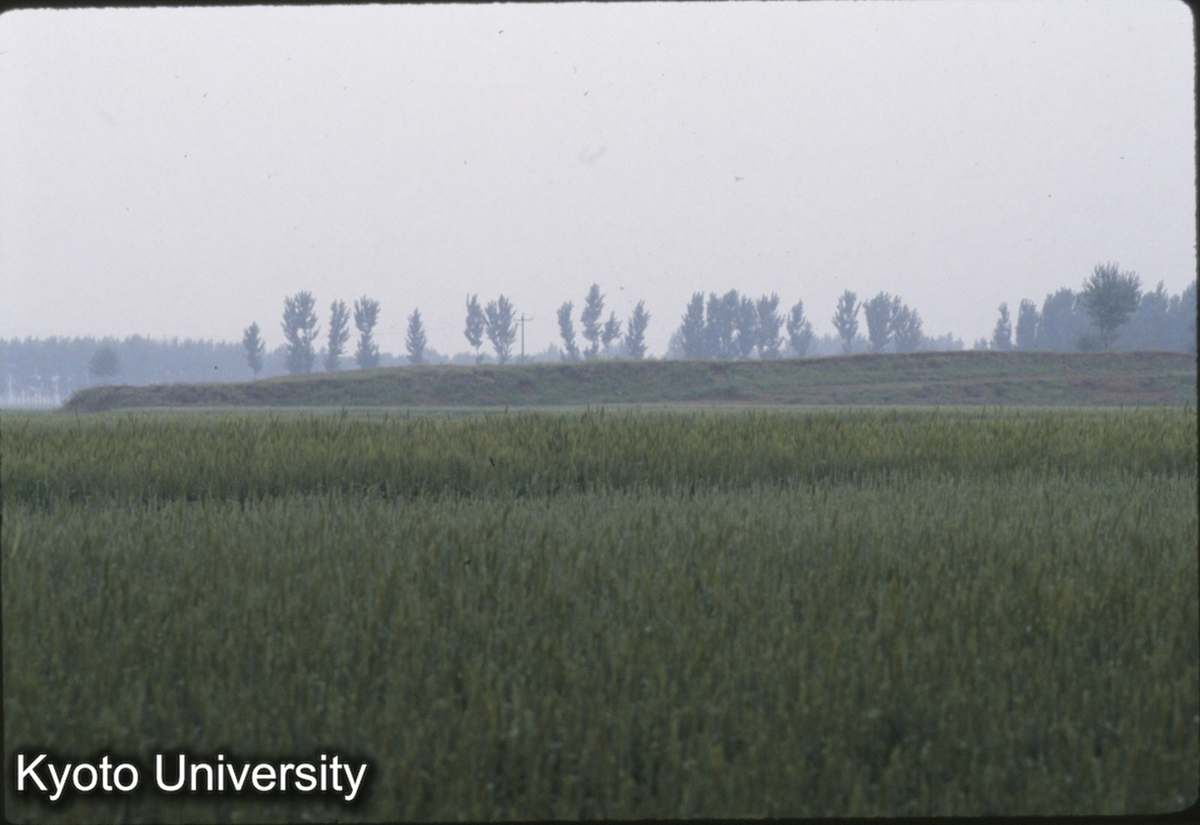 1898_燕下都 虚粮家墓区南側隔土墻 (1)