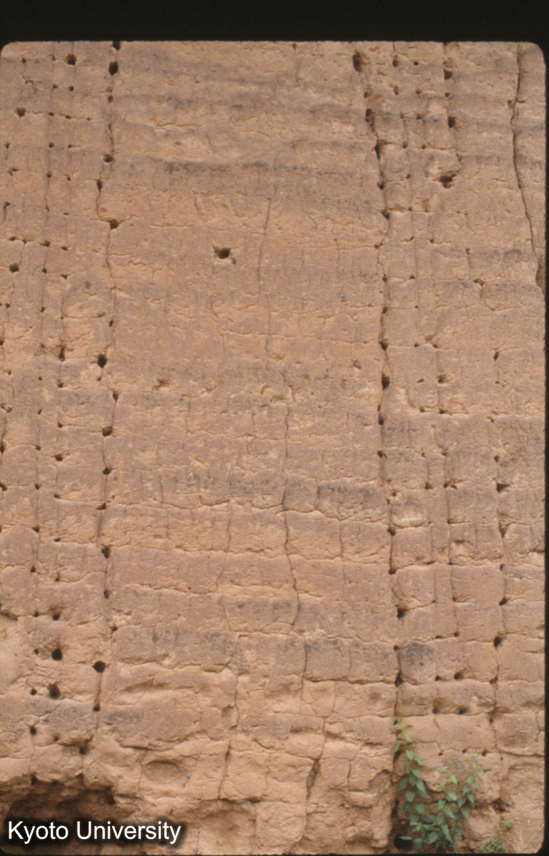 1909_燕下都 西城 南墻 夯土絍木ではなく後来の仕事？ (1)