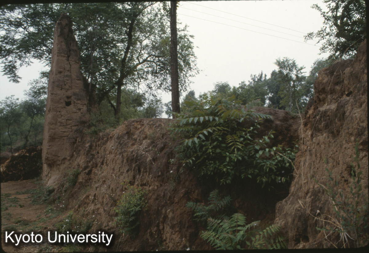 1910_燕下都 西城 南墻 城内側 (1)