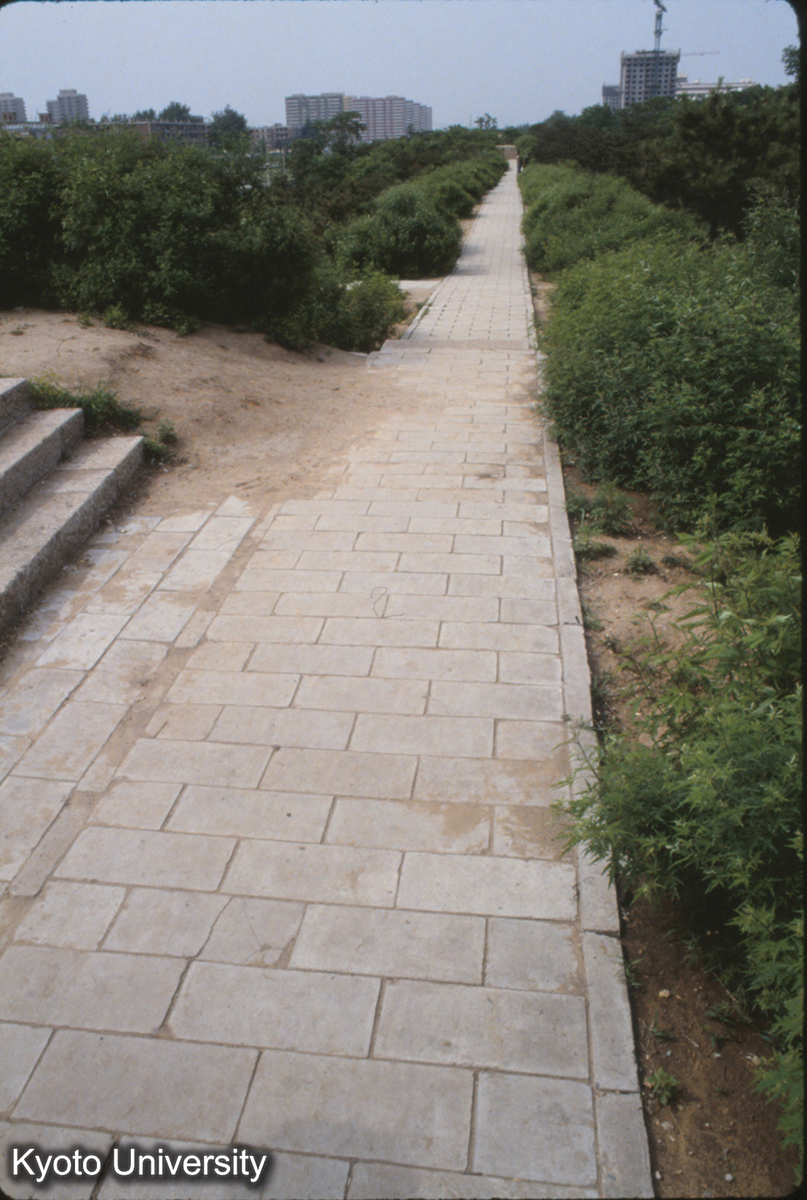 1917_元大都 西城墻 明光村 （西北角、南寄り） (1)