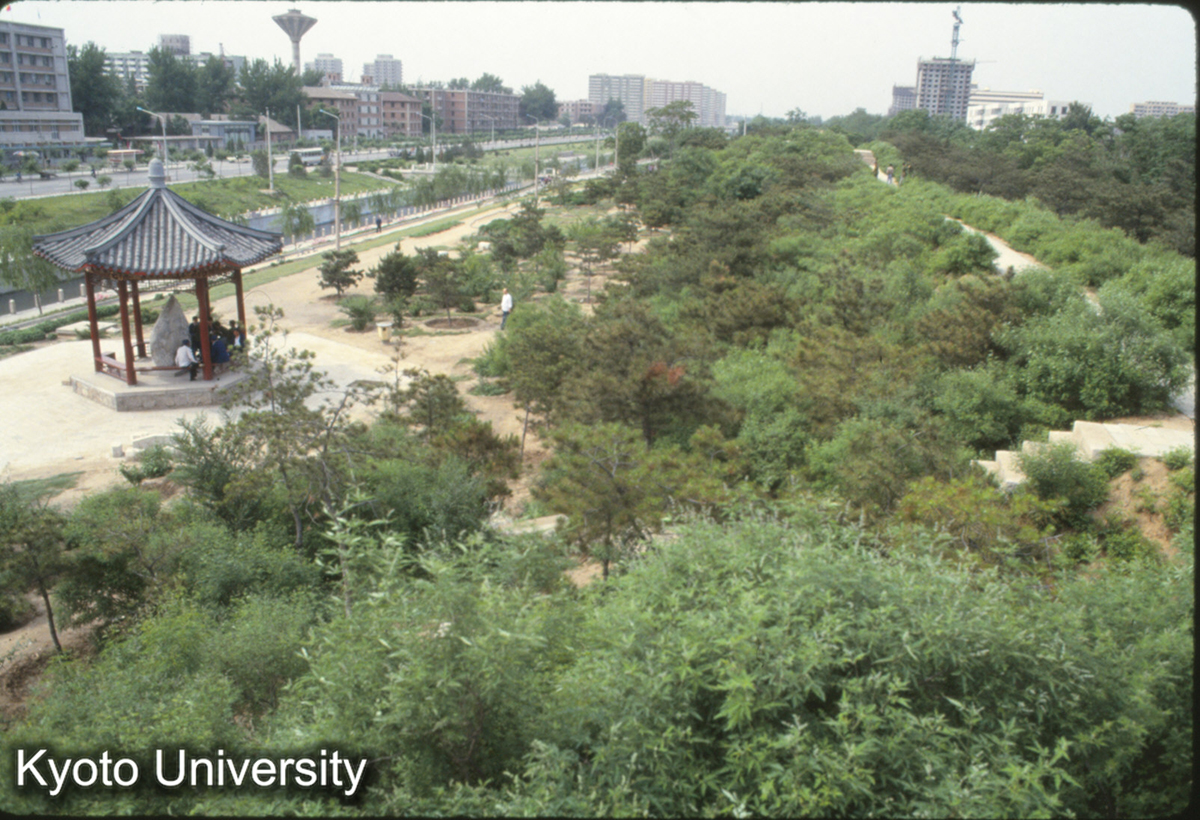 1918_元大都 西墻 明光村 護城河 (1)