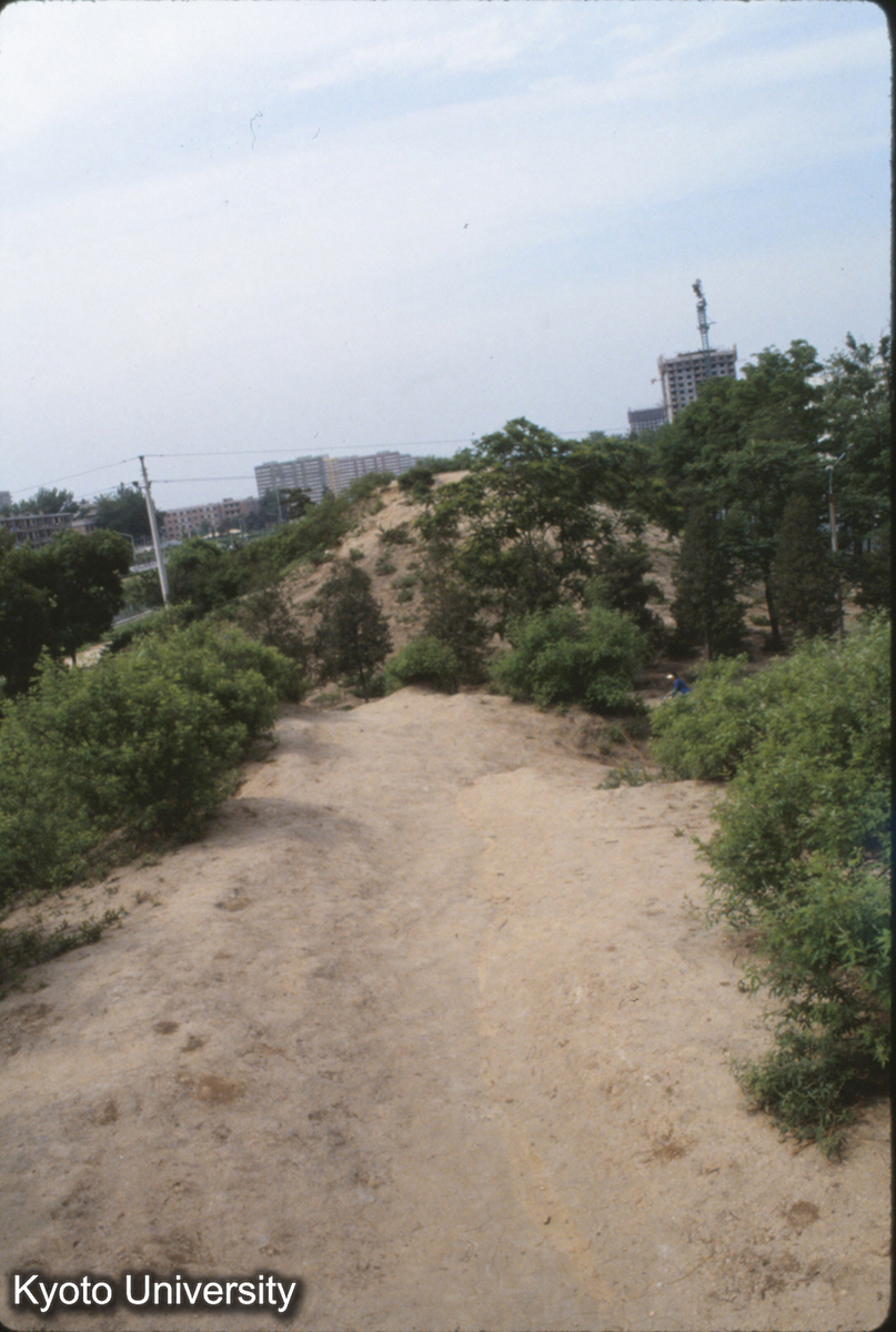 1919_元大都 西城墻 西北角から南寄りの所 (1)