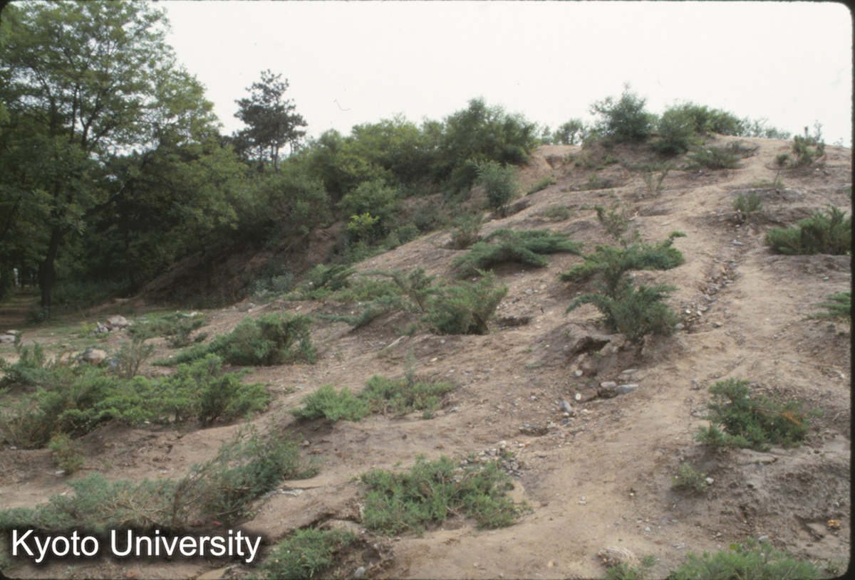 1921_元大都 西城墻 (1)