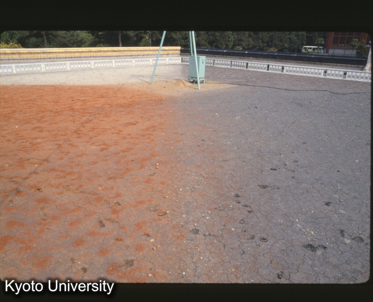 1986_社稷壇 五色の土_87 (1)