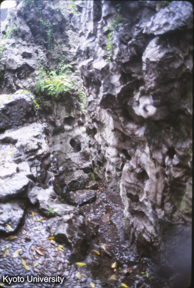 38_環秀山荘_87 (1)