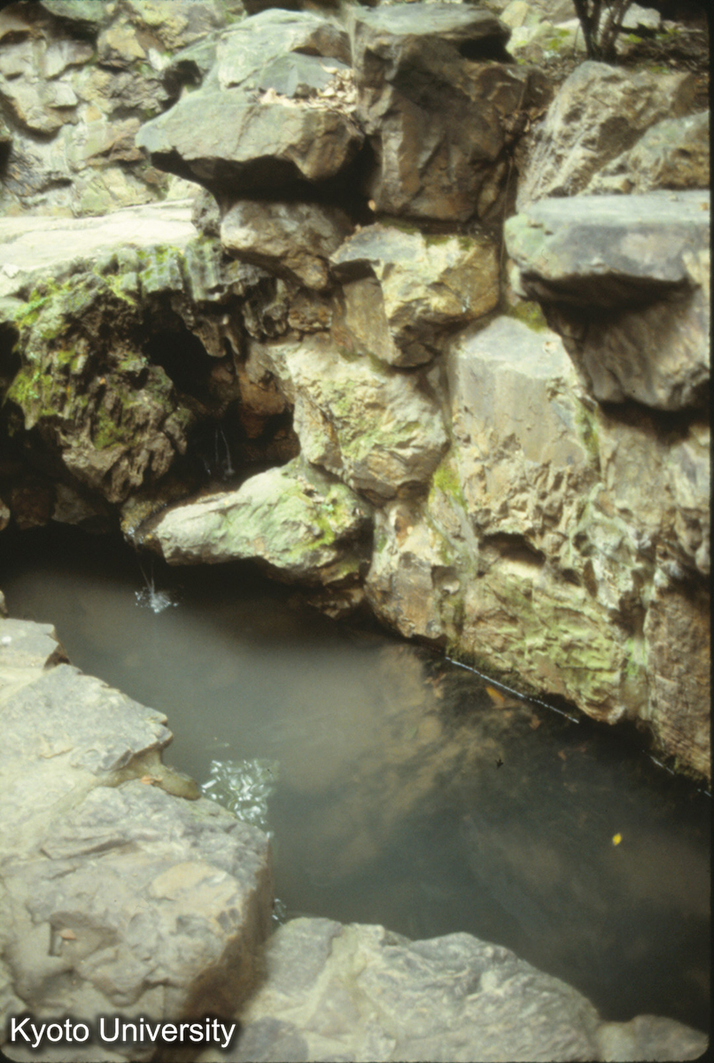 189_寄暢園 八音洞 (1)