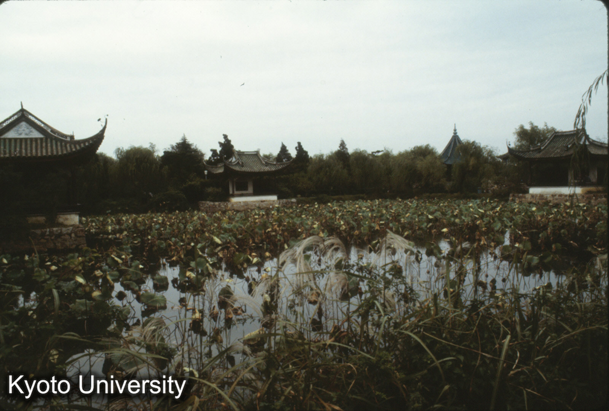 236_蠡園 四季亭 (1)