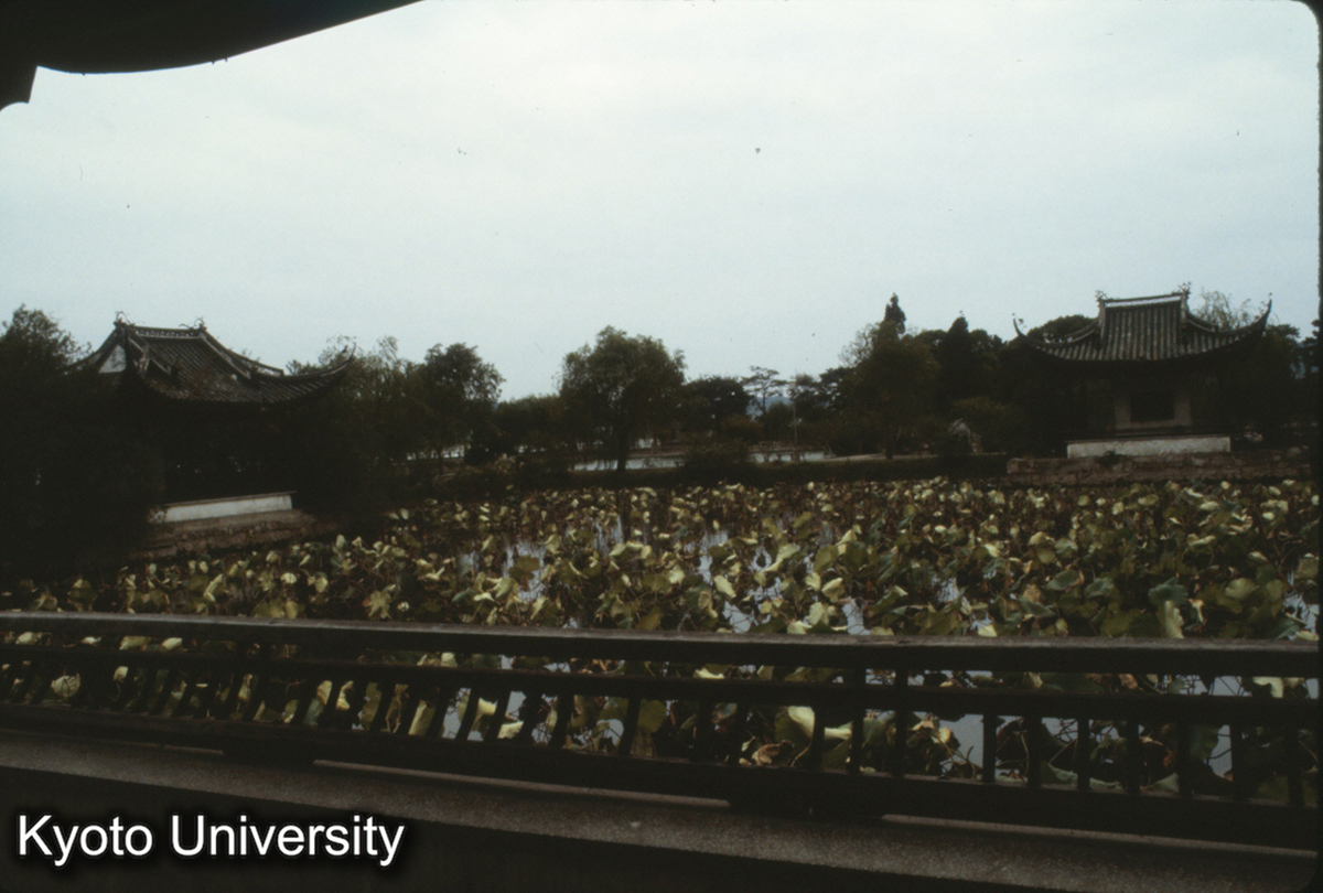 238_蠡園 四季亭 (1)