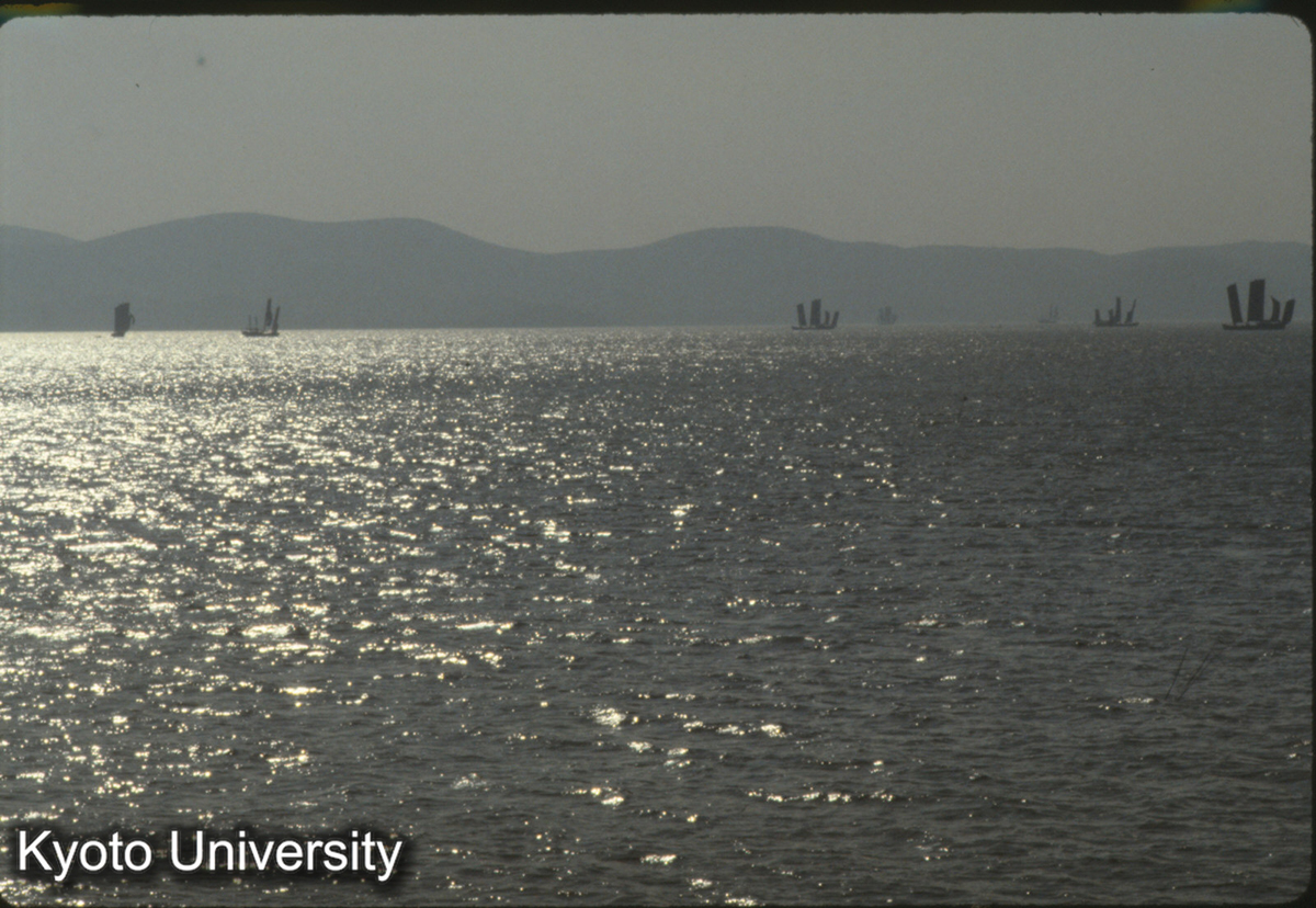 250_太湖 ジャンク (1)