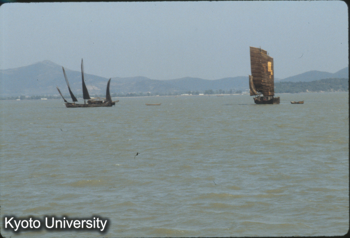 259_太湖 ジャンク (1)