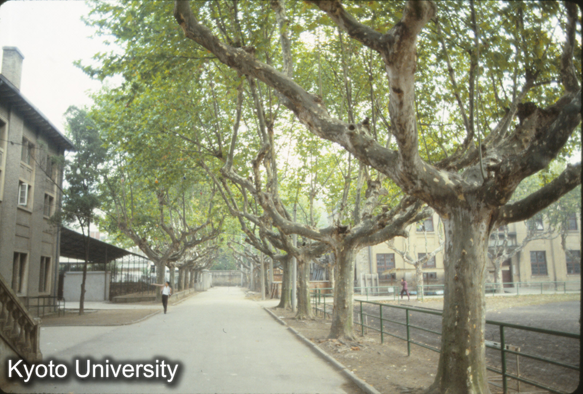 298_南工 右がグラウンド、左が体育館 (1)