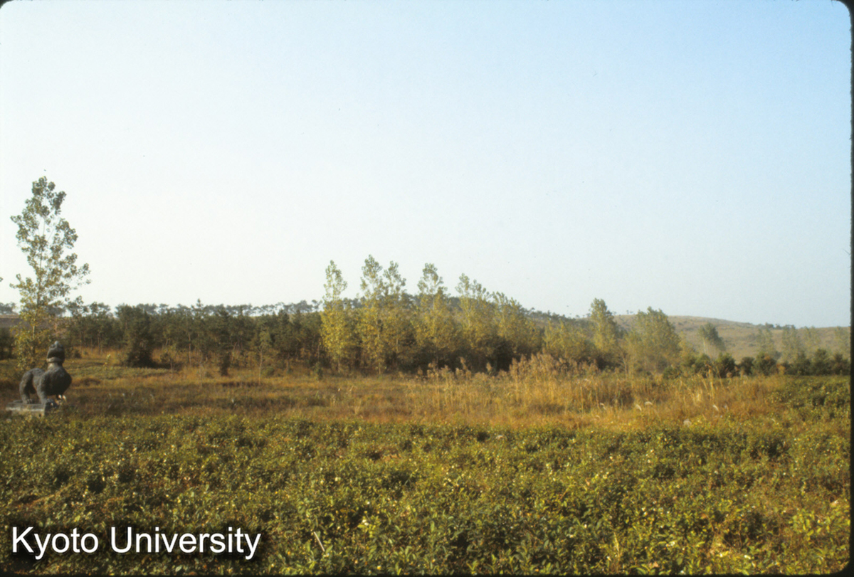 368_丹陽 修安陵 全景 斉 景帝･497年 (1)