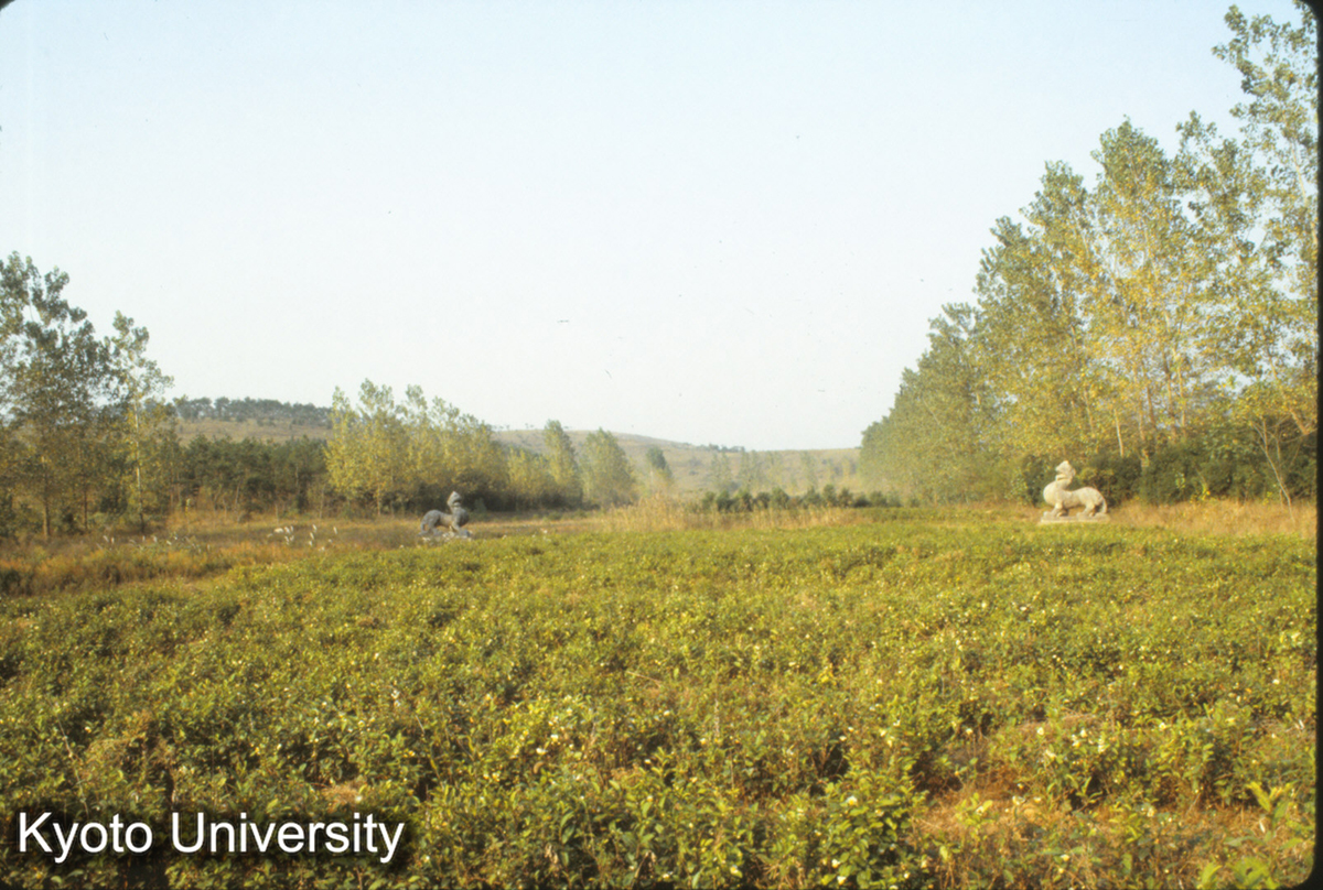 369_丹陽 修安陵 斉 景帝･497年 (1)