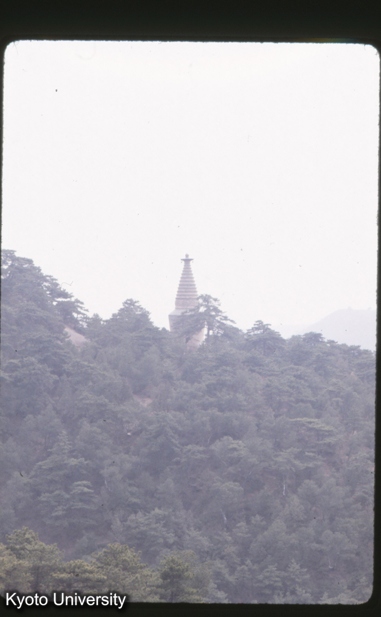 105_天龍山 十八羅漢 曹光燕塔（？） (1)