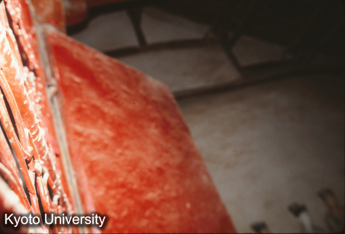 255_四聖殿_× (1)