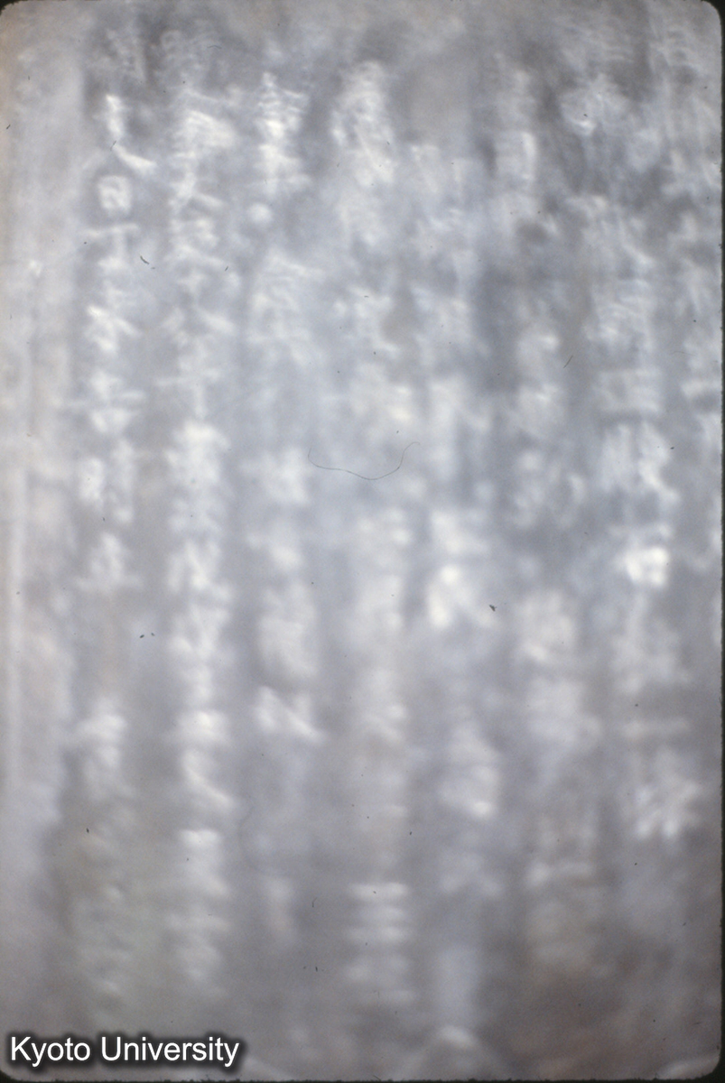 367_東岳廟_× (1)