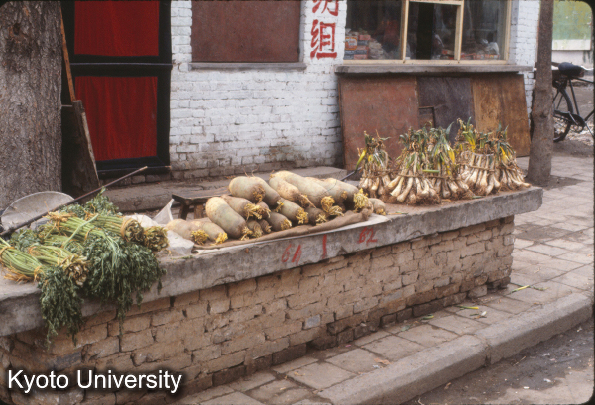 463_晋城市内 (1)