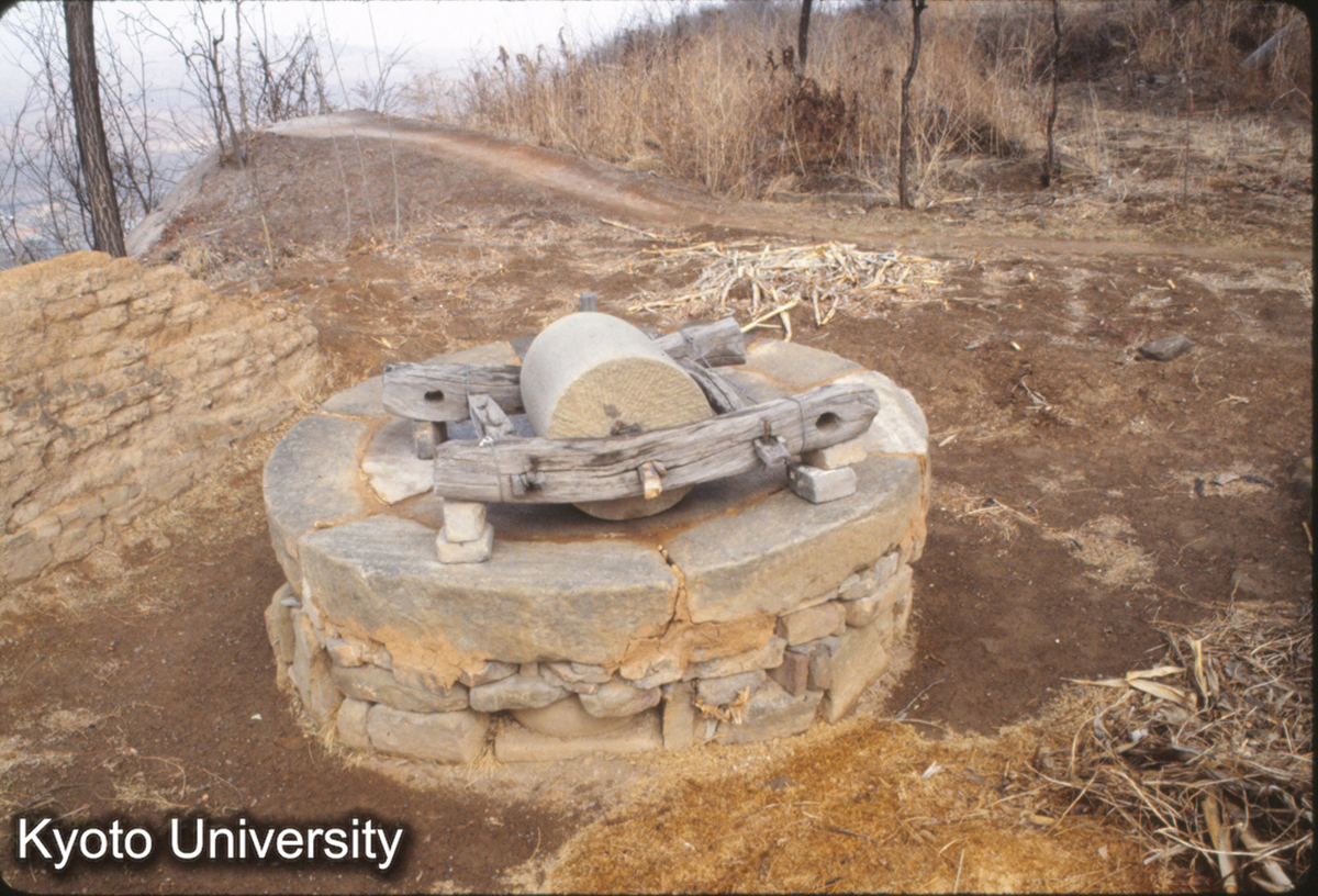 1303_犂（法興寺） (1)