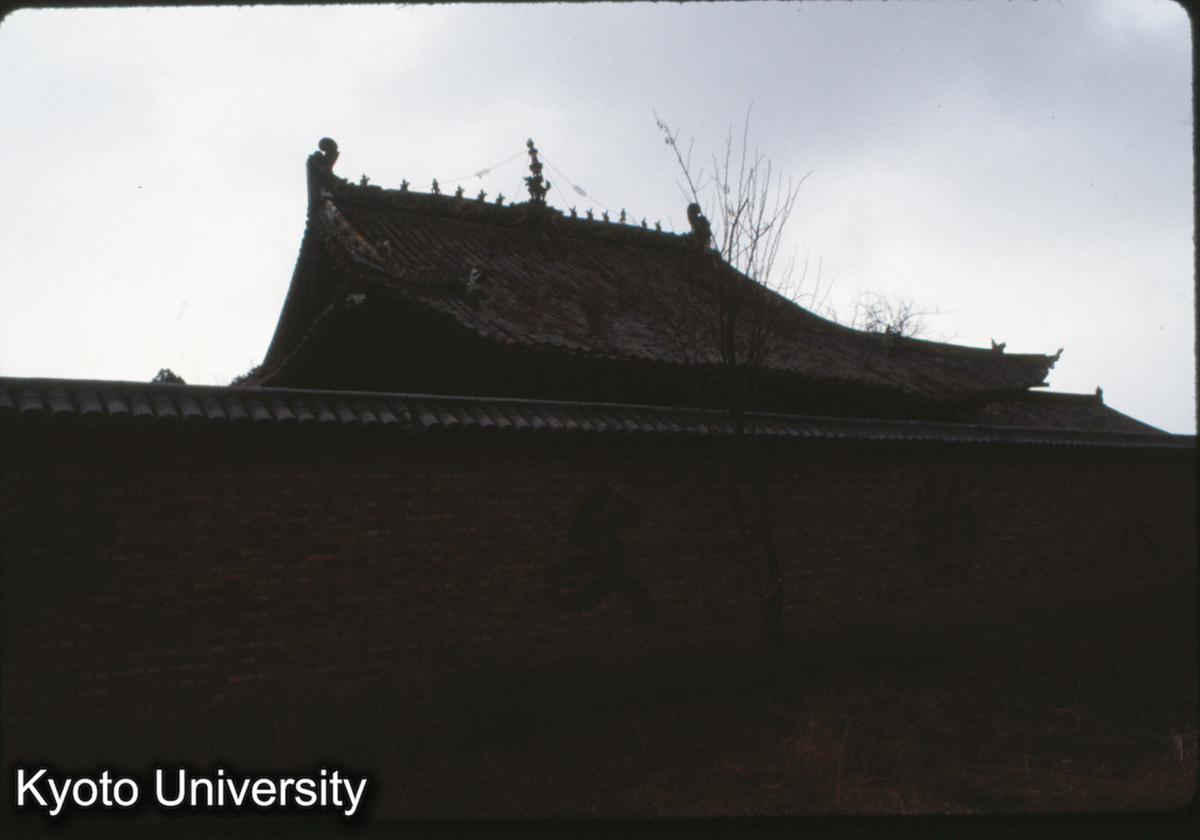 1333_崇慶寺大仏殿 後面 (1)