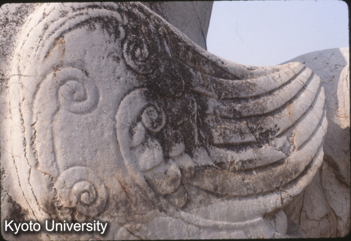 1822_梁 蕭景墓 石獅 (1)