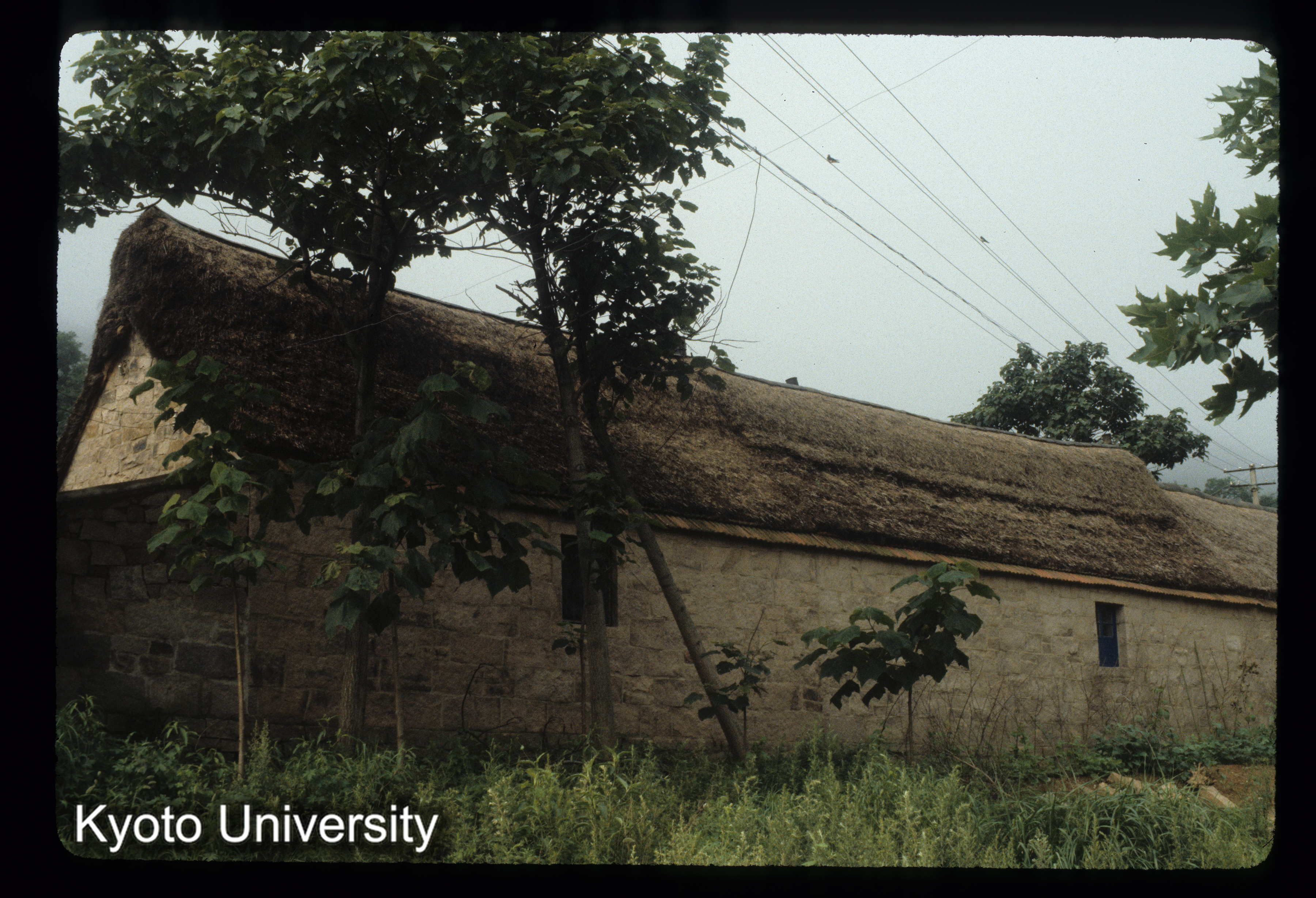 78_石島 海草屋頂 民居 (1)