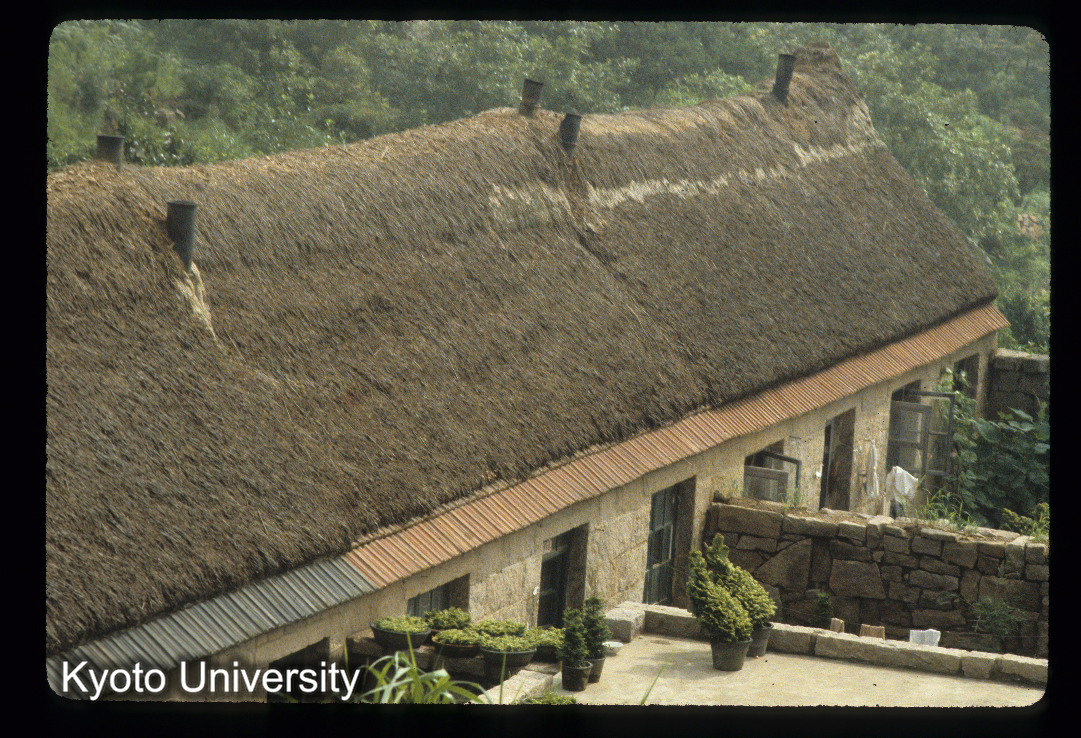 97_石島 海草屋頂 (1)