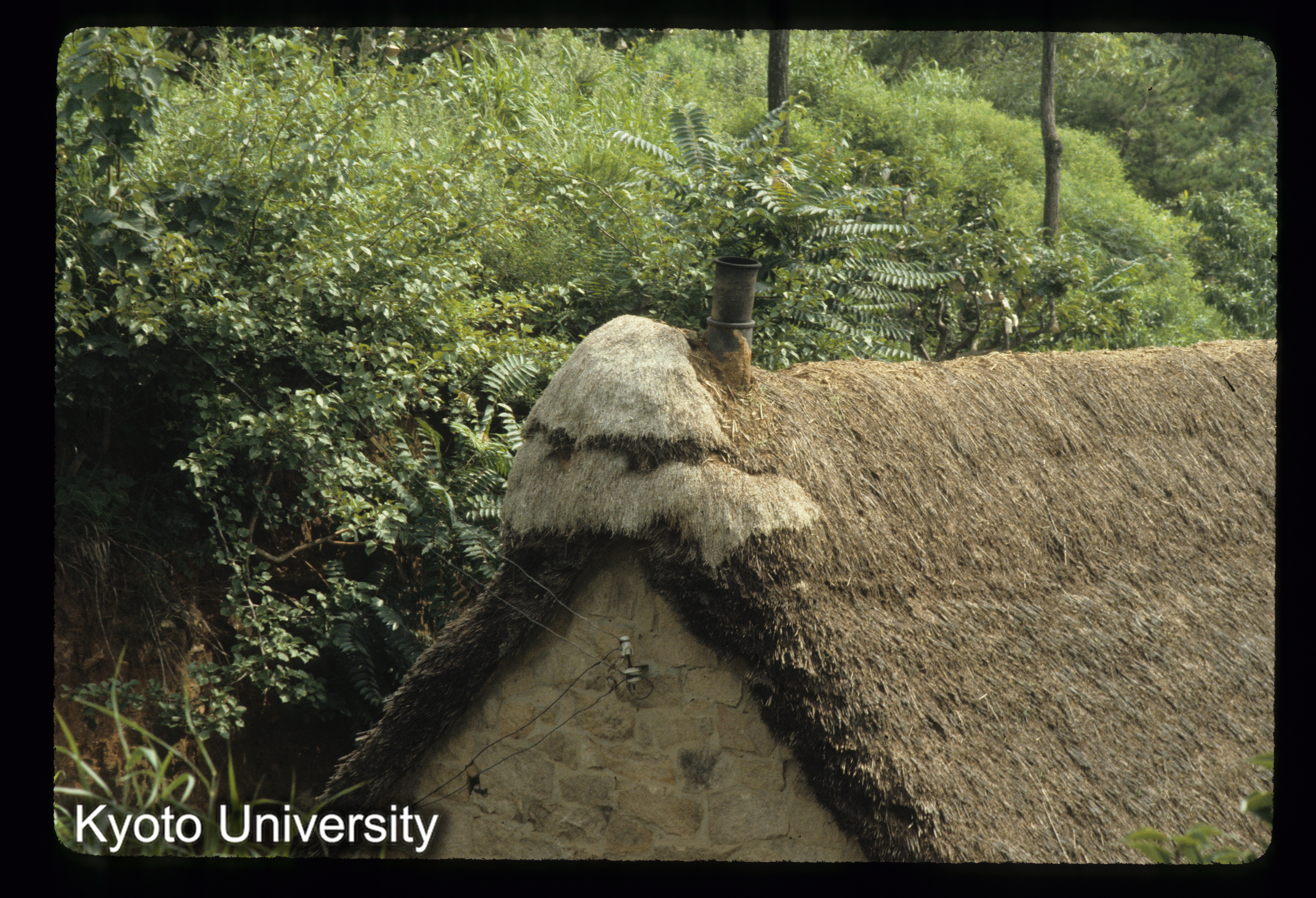 98_石島民居 海草屋頂 (1)