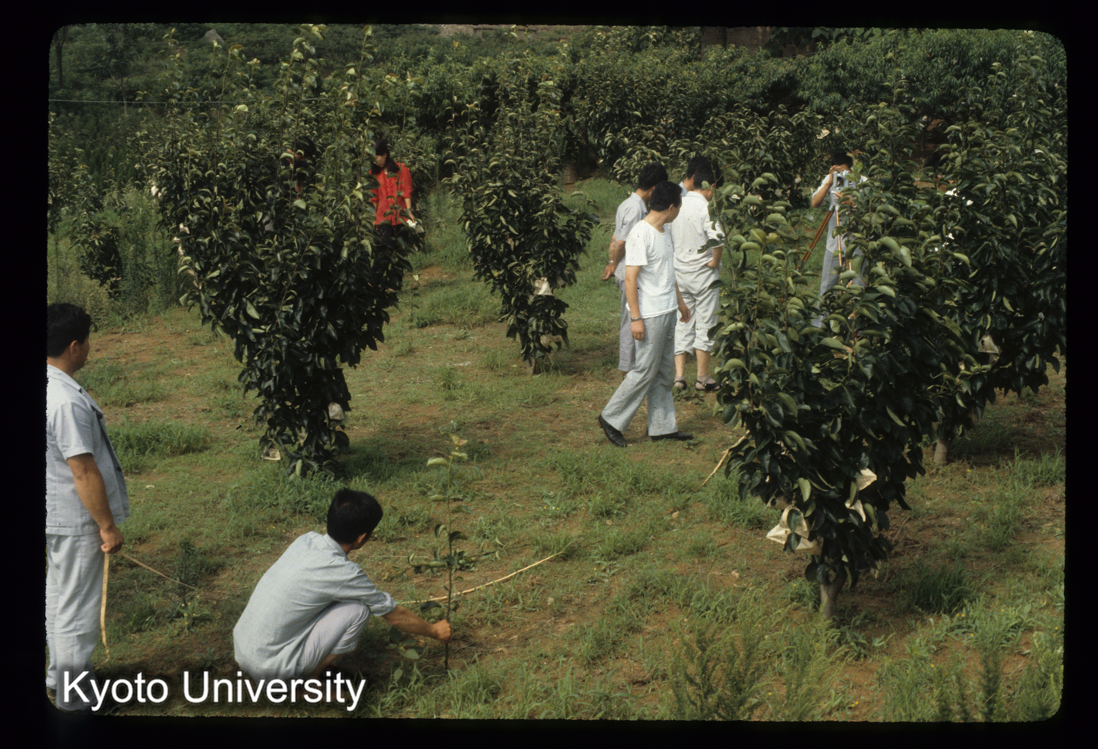 109_赤山法花院址 考査開始 (1)