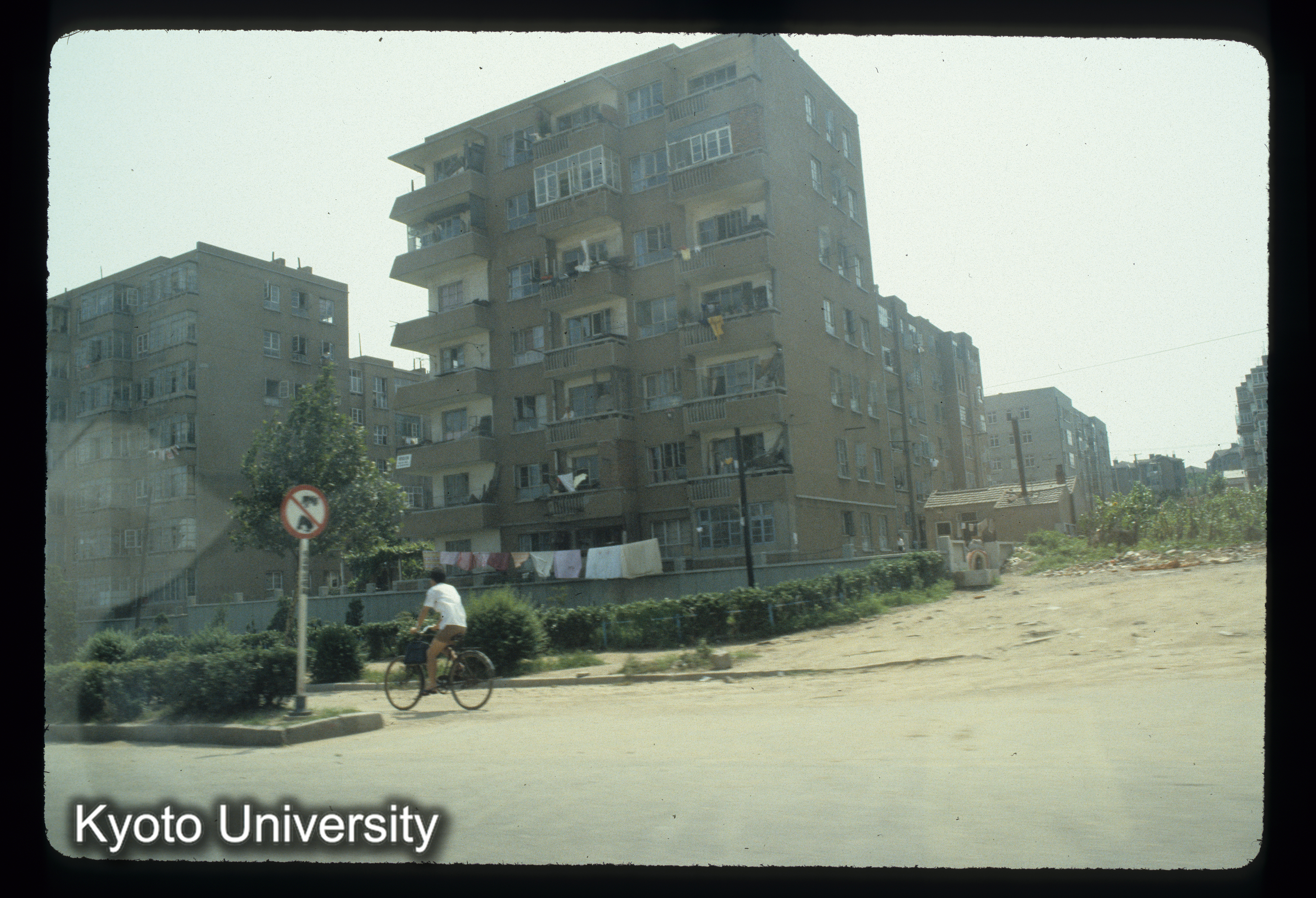 196_青島市内 (1)