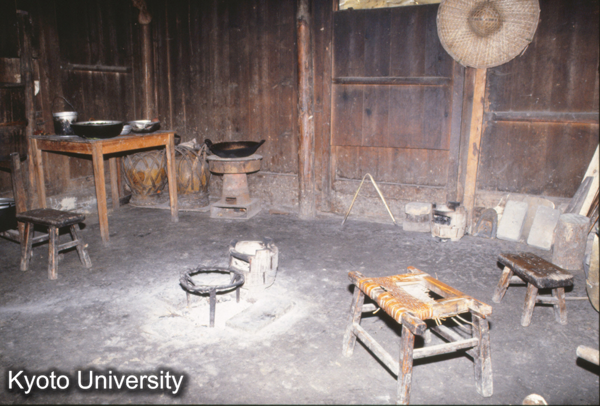 87_郎徳 イロリ 苗 (1)