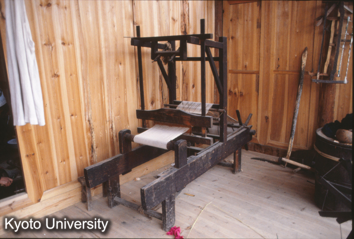 117_織機 郎徳 苗 (1)