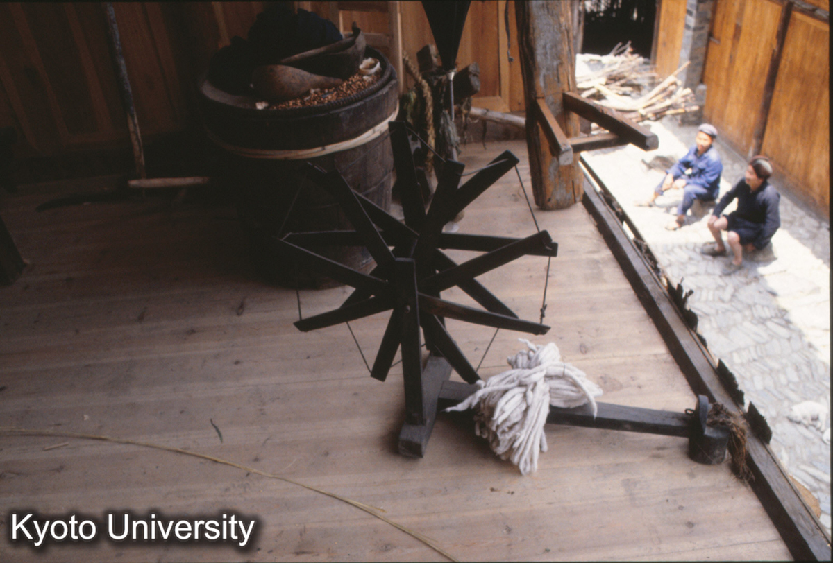 118_織機 郎徳 苗 (1)