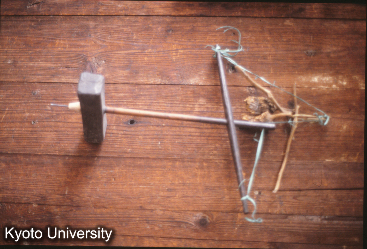 120_きり 郎徳 苗 (1)