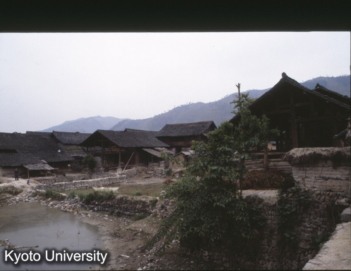 290_凱里 東寨 (1)