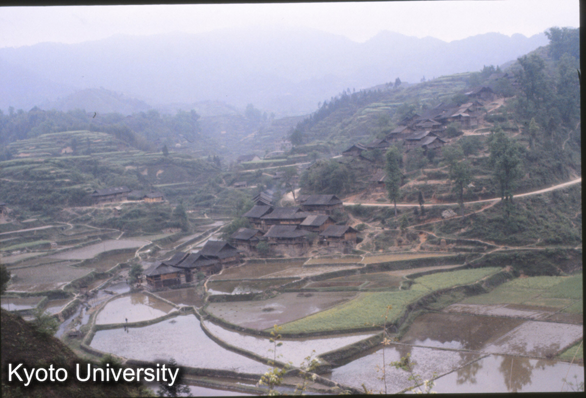 293_往里（侗寨） (1)