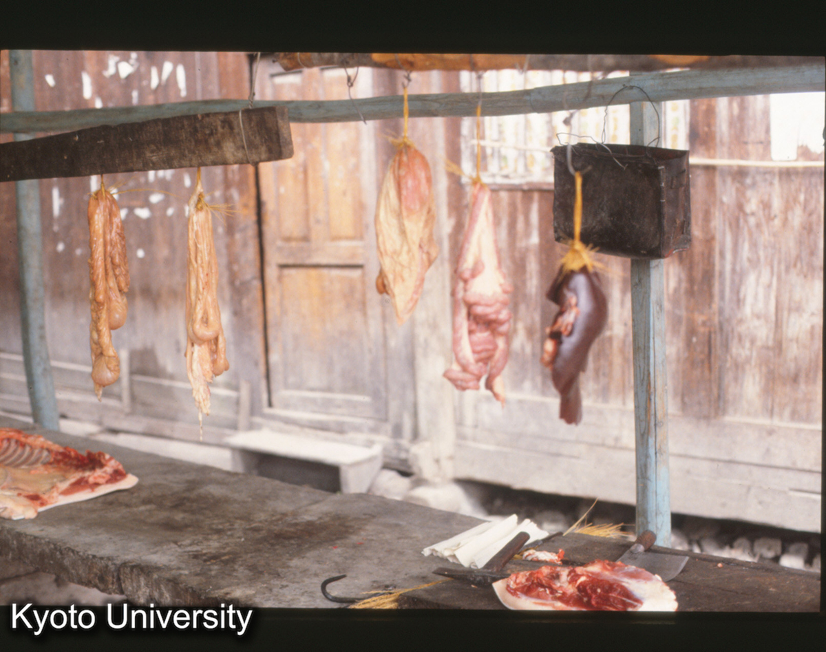 311_猪 内臓 楽里 侗 (1)