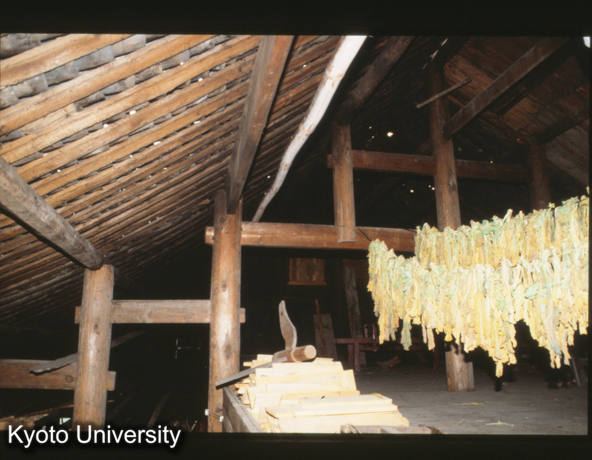 358_保里計悶 楊秀長家 小屋裏 貯蔵 侗 (1)