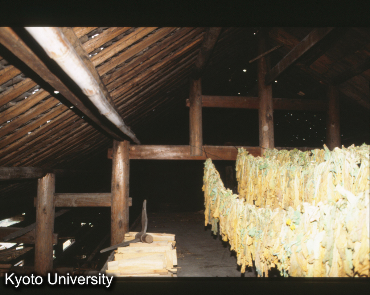 360_保里計悶 楊秀長 (1)