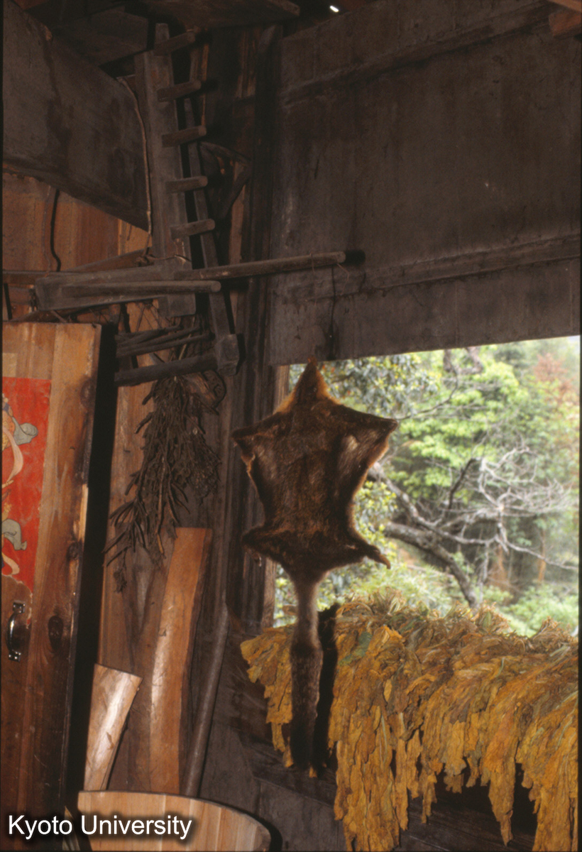 365_保里計悶 楊秀長 (1)