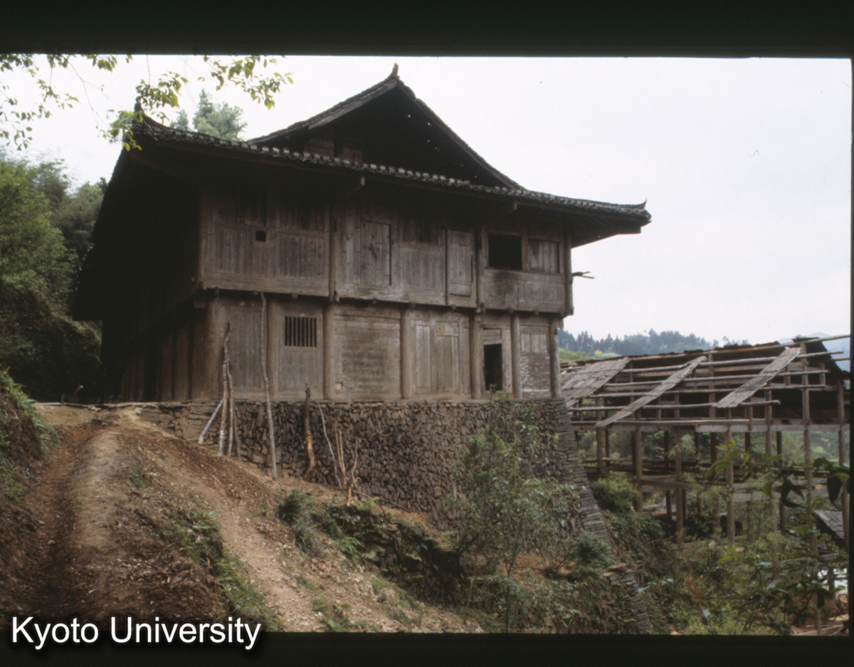 370_保里計悶 楊秀長 (1)