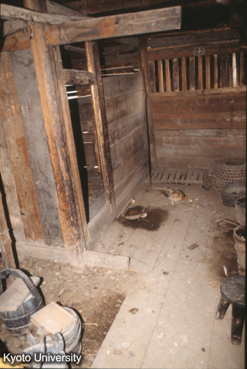 416_楼下 保里上寨 楊秀賢 (1)