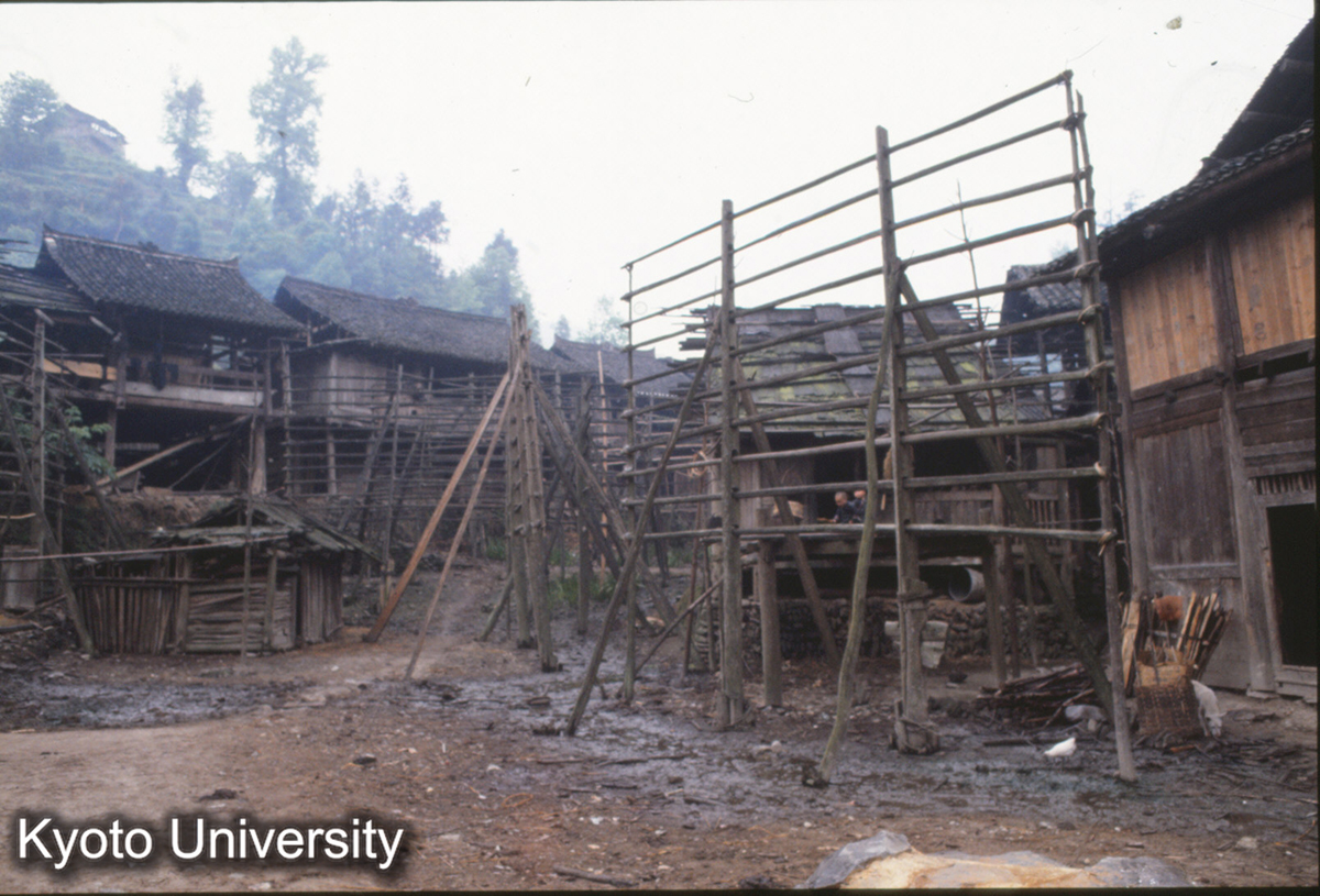 441_従江新民郷 它苗寨 稲木（穂座） 苗 クラ干し (1)